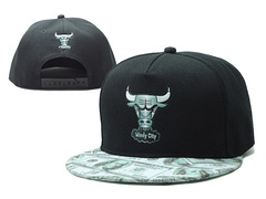 NBA Chicago Bulls NE Snapback Hat #336